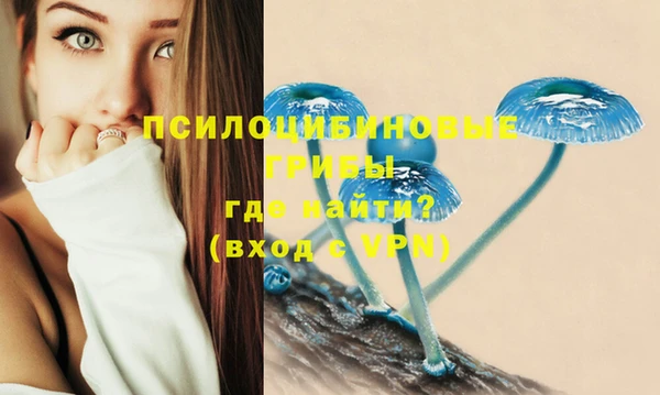 таблы Гусиноозёрск