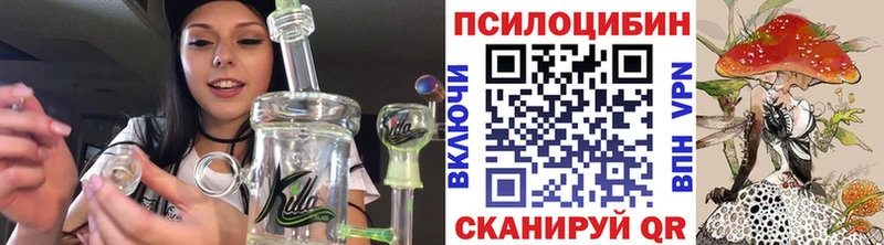 Галлюциногенные грибы Psilocybe  Купить закладки  Карачаевск 
